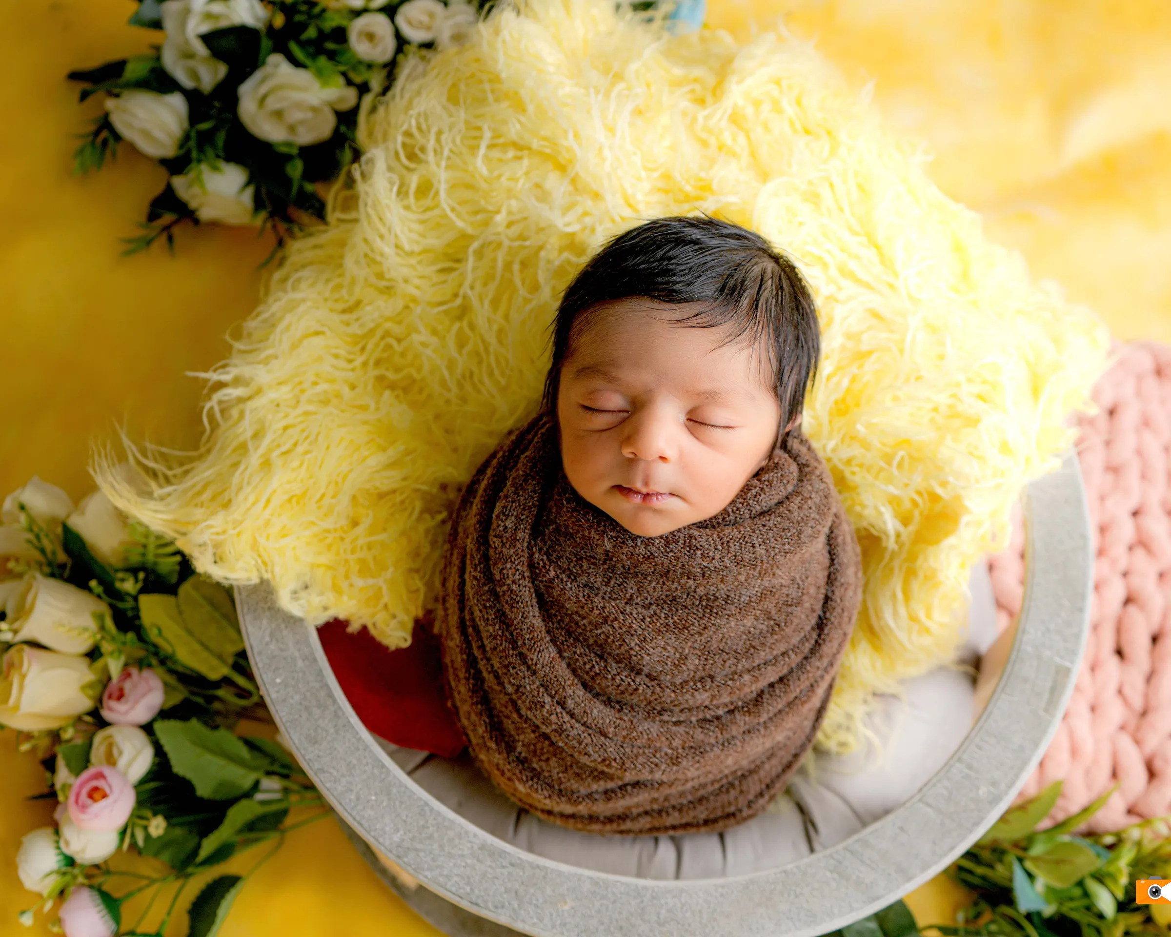 Newborn